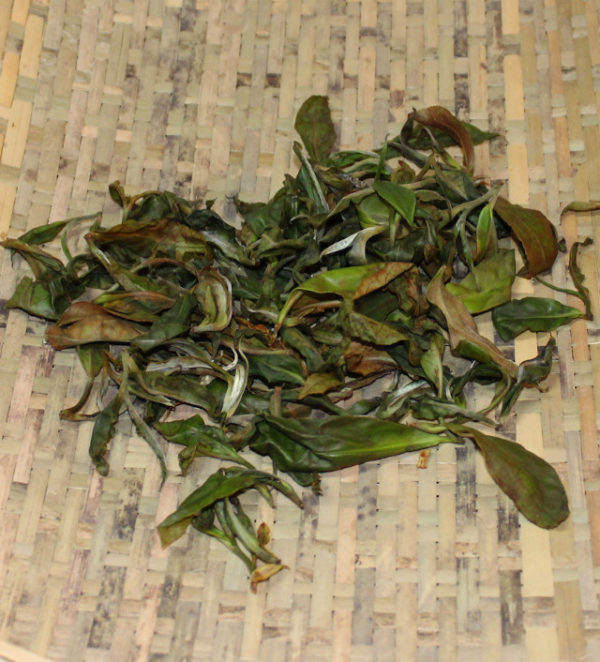 ohana-green-tea-600x662